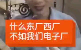 东西两厂不如我们电子厂