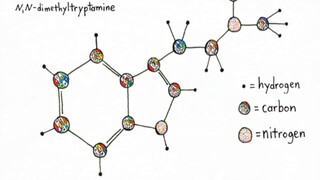 TOP 10 FACTS ABOUT DMT (N, N-Dimethyltryptamine)