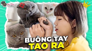 Thử Thách LND Nắm Chặt Tay MÈO Trong 1 Phút và Cái Kết Tức Chết | ĐUỸ MÈO COLLECTION #3