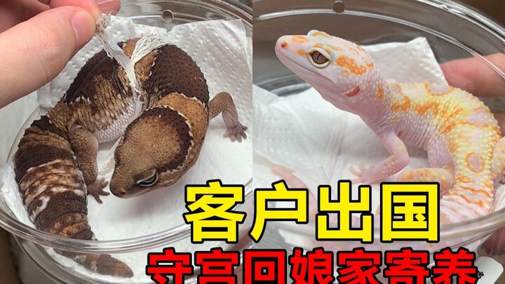 Unboxing edisi pertama, saatnya menguji ketekunan pelanggan.