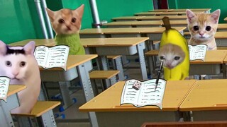 Misteri-misteri di masa sekolah