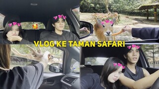 MAIN KE TAMAN SAFARI BARENG CELIBOY!! NGASII MAKAN HEWAN DISANA TAKUT TAPI SERUU BANGETTT!!