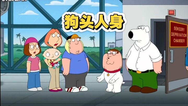恶搞之家：皮特和布莱恩互换身体，克里斯当上一名宇航员带全家人上外太空