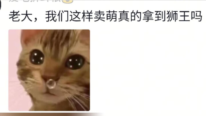 หัวหน้า พวกเรามาเพื่อชิงความเป็นใหญ่หรือมาแย่งความโปรดปรานกันแน่
