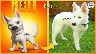 Bolt Characters In Real Life 2022