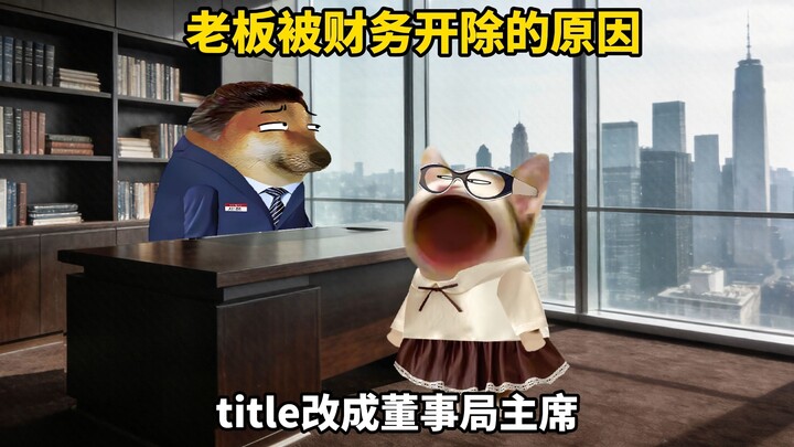 Nguyên nhân sếp bị phòng tài chính sa thải, cuối cùng đã hiểu ra rồi!