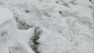 [The audience graduated before me] Happy graduation! It’s finally my turn to say it~