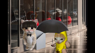 盼着下雨的香蕉猫