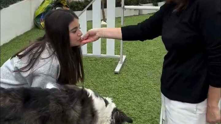 Lead by example when training your dog