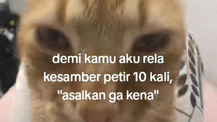 post jj disini gpp kan?