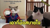 ต้องให้อาจารย์สมแมวสอน ใช่มั้ย ?? #รวมคลิปฮาพากย์ไทย