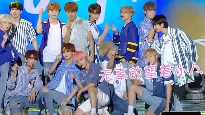 【SEVENTEEN】“What Should I Do?” — A Cute vs. Flub Compilation: The Captain Takes the Heat on Camera!