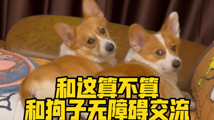 Xiao Bei: Kelihatan manusia, tapi perangai seperti anjing, sama sekali tak punya akal sehat!