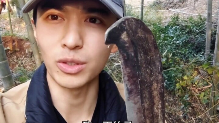 【ปลูกผักเถอะ | จ้าวเสี่ยวถง】พี่คนนี้ทำนาเร็วจนเหมือนบรรลุธรรมไปแล้ว เลี้ยงไก่ เลี้ยงหมา ปลูกผัก ตัดไ