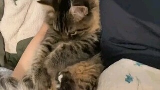Don't laugh at me!!