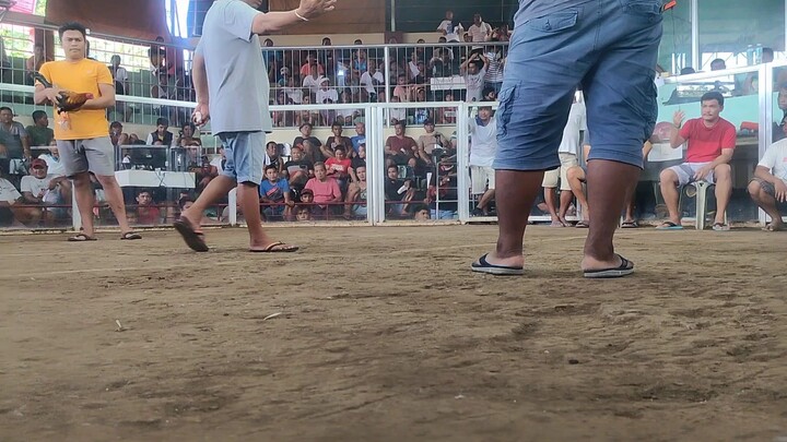 first fight win 2 fight draw