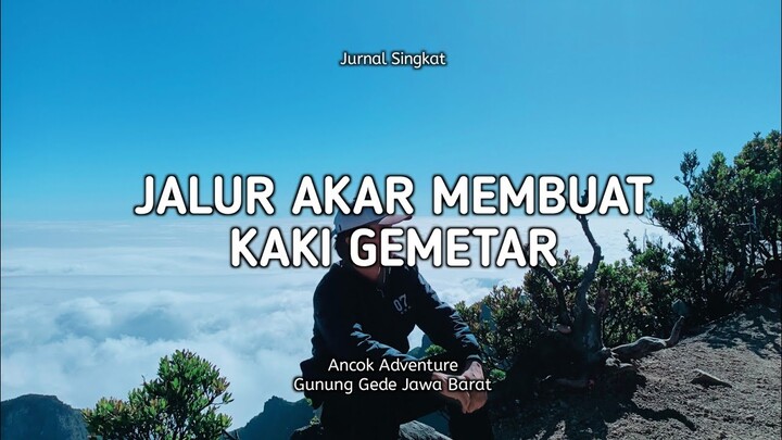 Jalur Akar Membuat Kaki Gemetar - GUNUNG GEDE JAWA BARAT