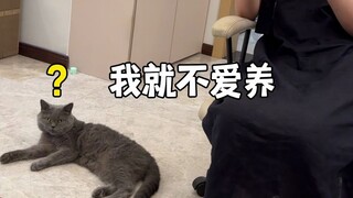 Pointing at the cat and scolding the ape