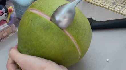 This pomelo is so easy to peel, it's unbelievable! #PomeloPeeling