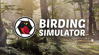 Birding Simulator | Demo | GamePlay PC