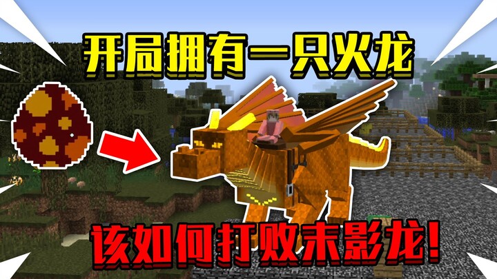 当开局拥有一只火龙！能够飞天喷火，该如何打败末影龙！