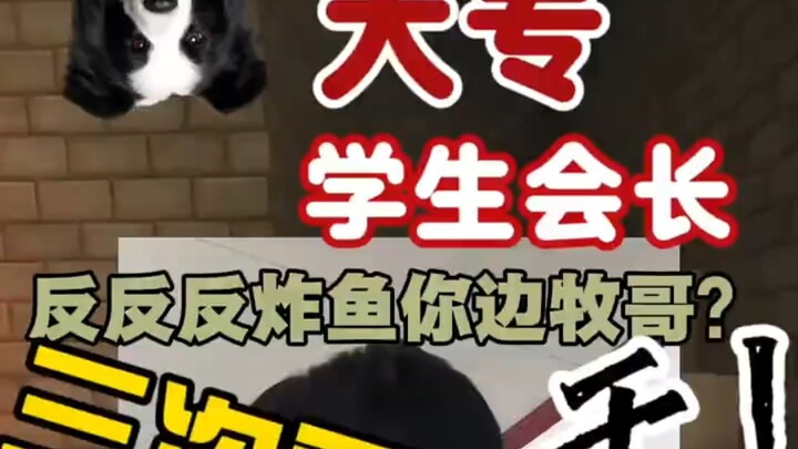 Sang Border Collie balas menyerang ikan: sekali lagi merespons video balasan dari ketua OSIS perguru