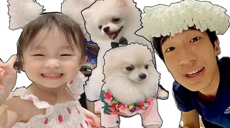 BÉ CHIPPY SIÊU QUẬY - PI CHƠI CÙNG BA LAYTV VÀ THÚ CƯNG VUI NHỘN