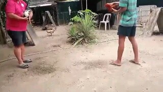 preparation sa 3hits pangasinan