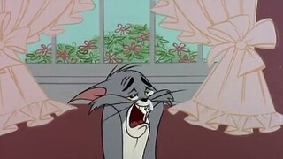[Cat and Mouse] Restore the tragic daily life of the young up at Station B!