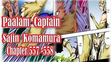 Bleach Chapter 557-558 Sajin Komamura Vs. Bambietta Basterbine Part 2