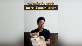 Chó nhà mấy người có “thả bom” hông? tuitienpet petonesaigon petnhatrang dcgr
