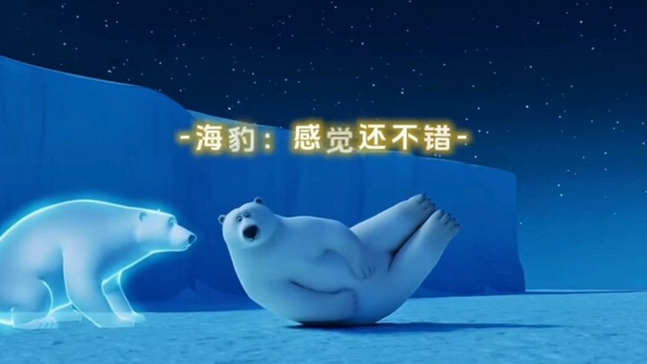 الفقمة: واو ها ها، هذه الجسد السمين لي الآن