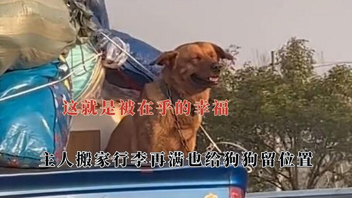 นี่แหละคือความสุขของการได้เป็นที่ห่วงใย! แม้กระเป๋าจะเต็มแค่ไหน ก็ยังเหลือที่ให้น้องหมาเสมอ