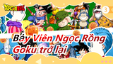 [Bảy Viên Ngọc Rồng/480P/DVDrip] Trở lại! Goku và những người bạn của cậu ấy!_3