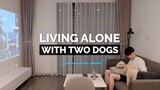 Sống Một Mình Cùng Hai Bạn Chó Nhỏ | Dog Daddy Life | Living Alone