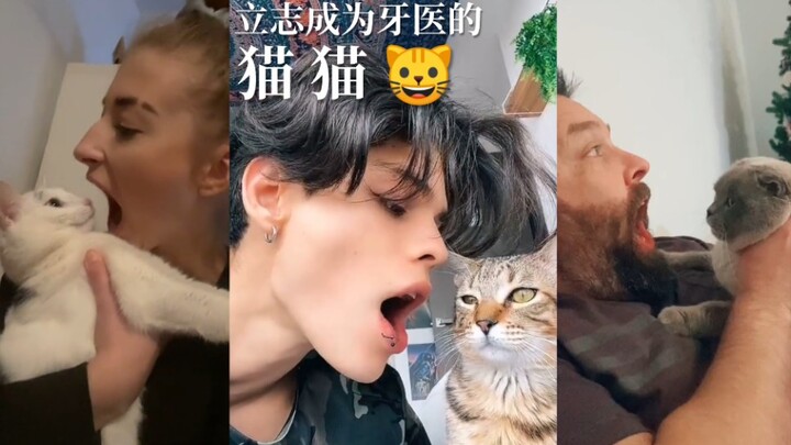 Some cats want to become dentists.