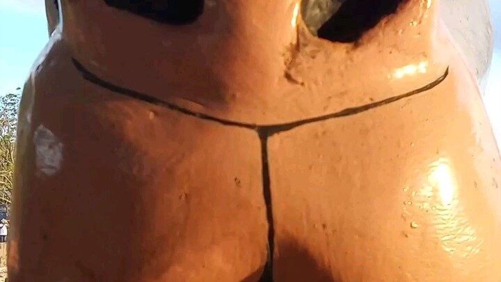 kangaroo