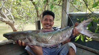 CÚNG GHE MỚI • Cá Gúng Nấu Canh Chua Huyền Thoại | Ngư Dân Miền Tây