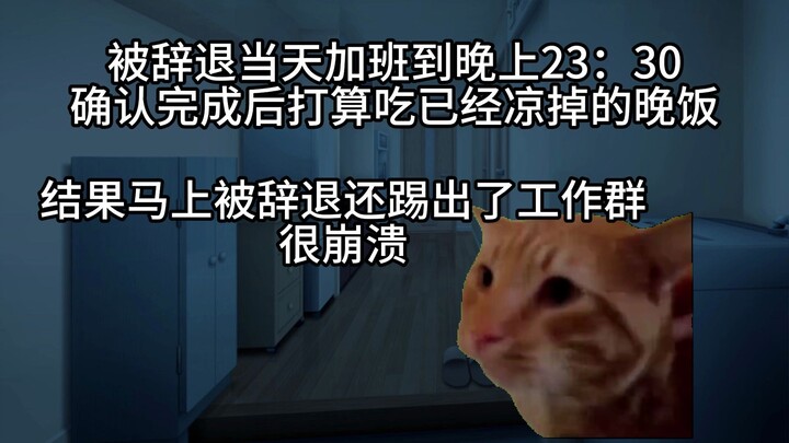 【猫meme】半夜被公司暴力辞退后，66万b友助我精准维权报复