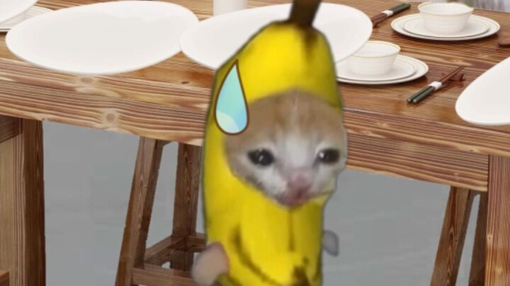 Banana Cat and friends go out for a fancy meal… but end up crying again!