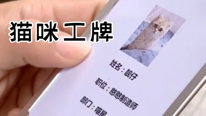 Petugas keamanan melarang membawa kucing masuk kompleks, tapi begitu dia keluarin ini, mereka langsu