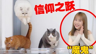 把猫逼到无路可走，它会怎么办？