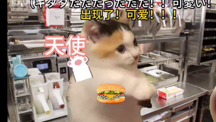 【Meme mèo】Chuyện khi Makimaki làm thêm ở Nhật gặp được cô chị thiên thần (phần sở thích nhỏ)