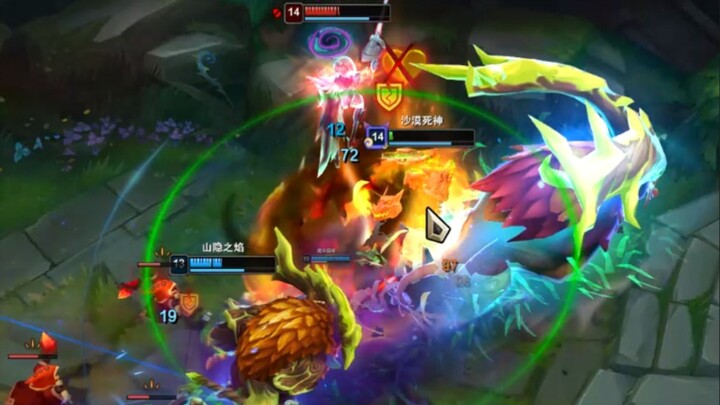 Fierce street dog—please don’t pet me!