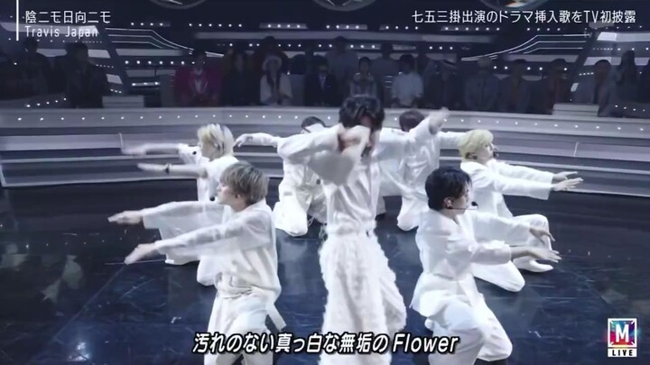 Travis Japan In The Shade And Sunlight