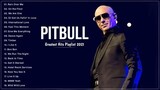 The Best of PitBull Songs New Album // Pitbull Greatest Hits Full Collection