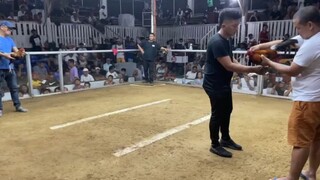 f1 tornado hatch pila coliseum