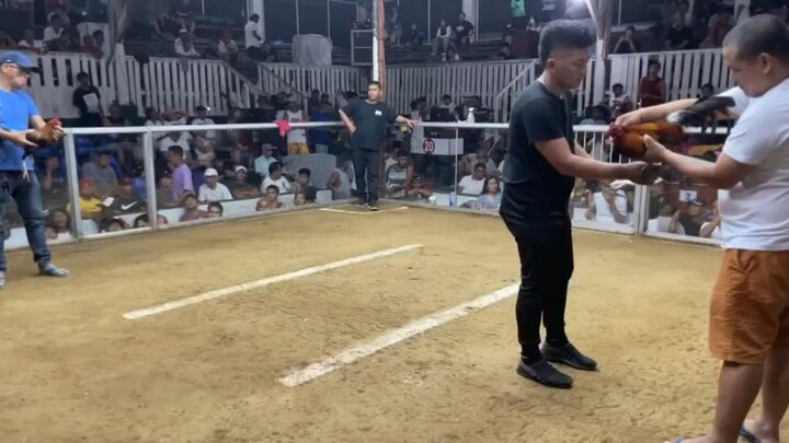 f1 tornado hatch pila coliseum