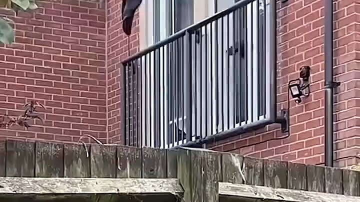 Người đàn ông thất bại