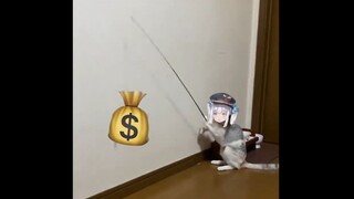 Mea is playing with money